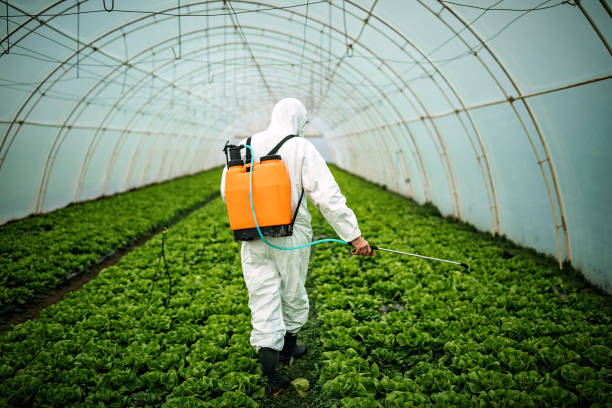 Best Pest Control for Restaurants  in Cross Plains, TX