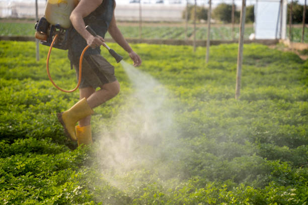 Best Affordable Pest Control Services  in Cross Plains, TX