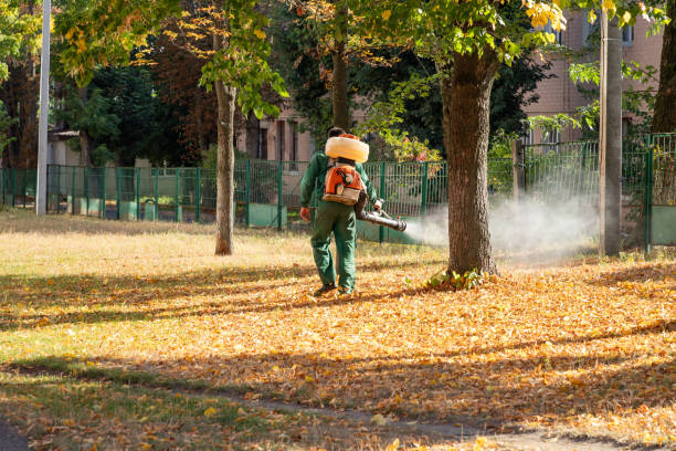Pest Control for Restaurants in Cross Plains, TX