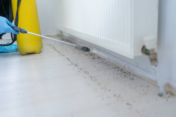 Best Pest Prevention Services  in Cross Plains, TX