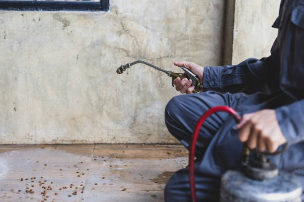 Best Best Pest Control Near Me  in Cross Plains, TX